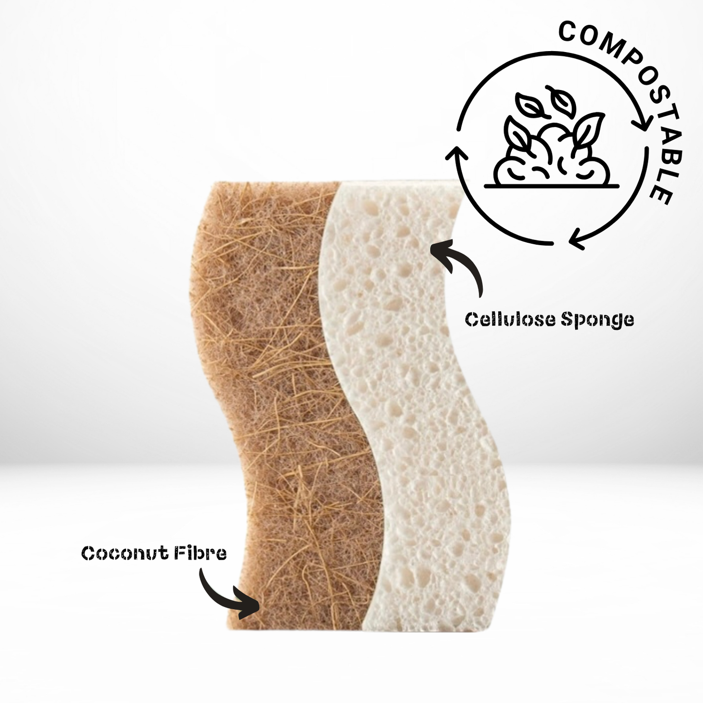 Cleaning Sponge - 2 Pack - Compostable