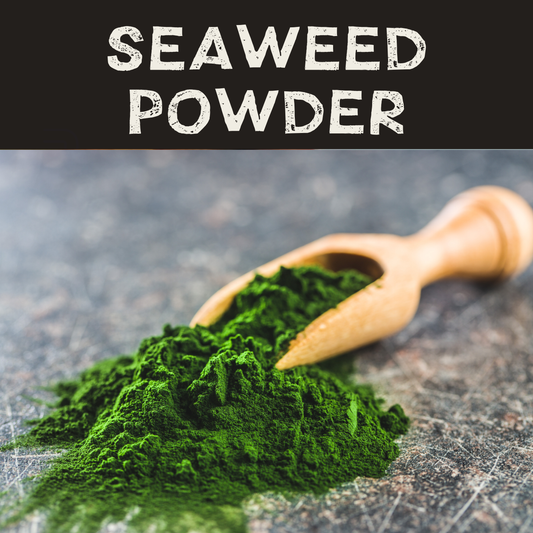 Atlantic Seaweed Powder