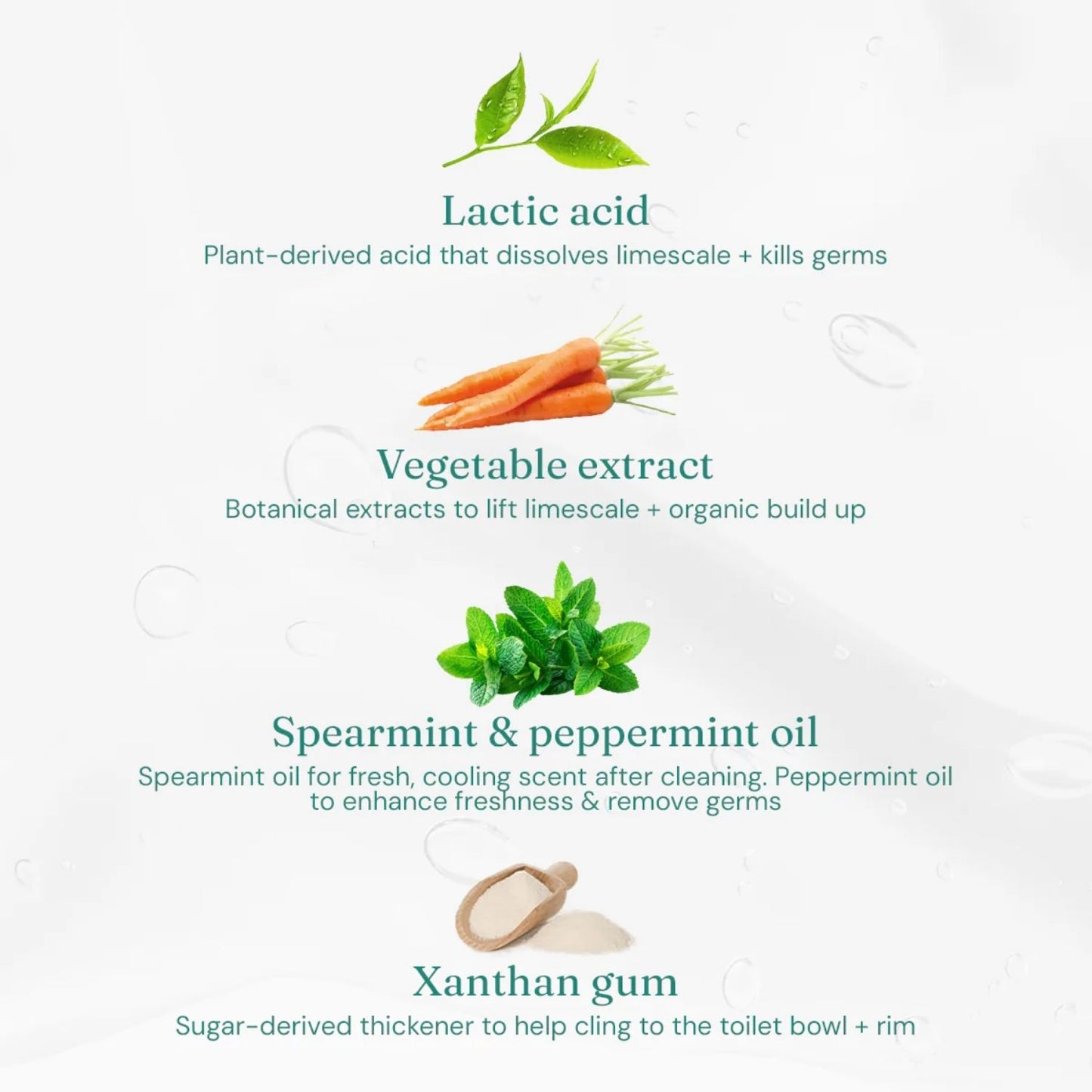 Toilet Cleaner - Spearmint & Peppermint