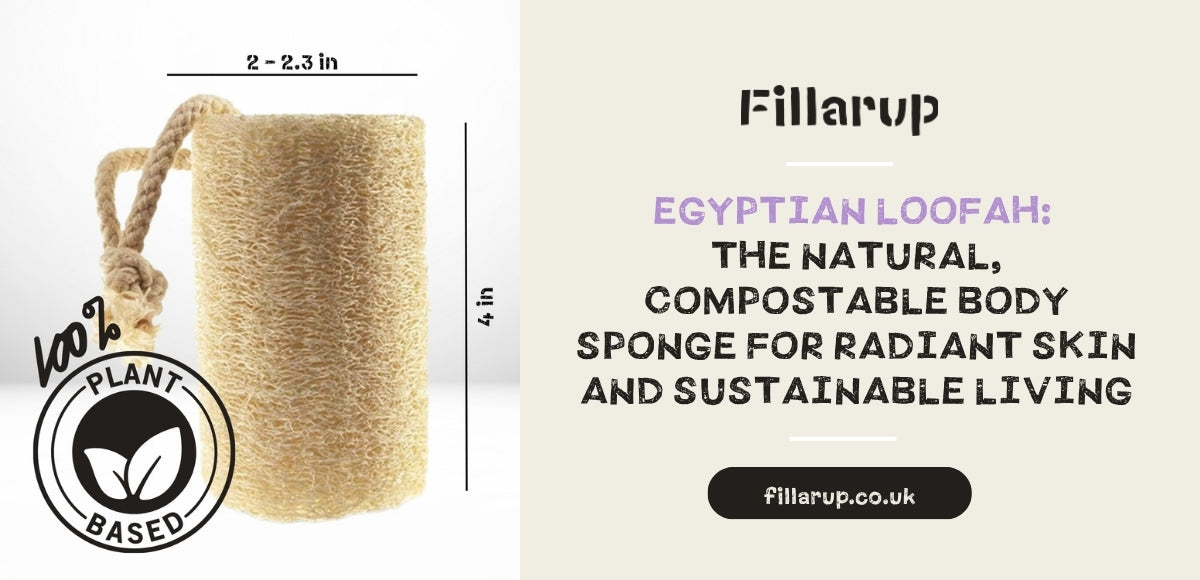 Egyptian Loofah: The Natural, Compostable Body Sponge for Radiant Skin and Sustainable Living