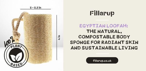 Egyptian Loofah: The Natural, Compostable Body Sponge for Radiant Skin and Sustainable Living
