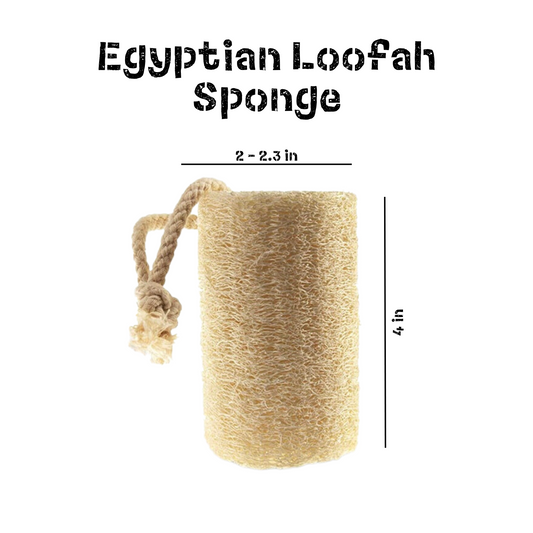 Body Exfoliating Sponge - Compostable Egyptian Loofah