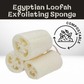 Egyptian Loofah - Body Exfoliating Sponge - Compostable