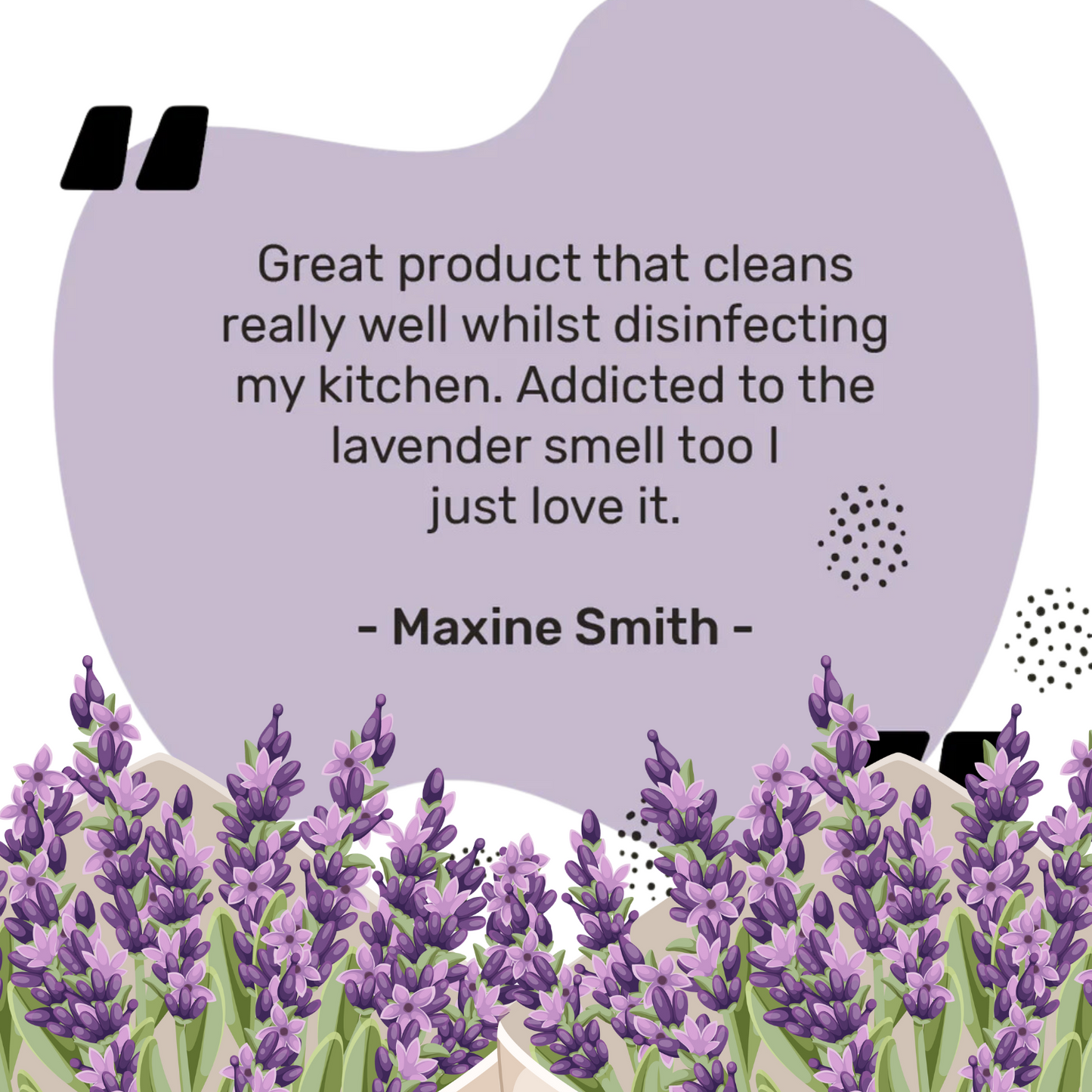 French Lavender - Anti-Bac Surface Cleaner - Refill