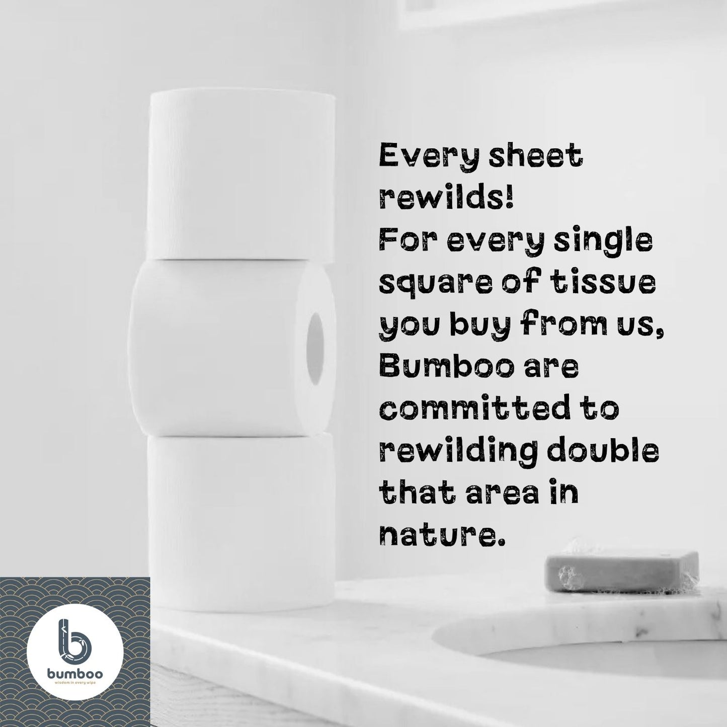 Unwrapped Bamboo Toilet Paper